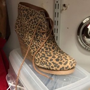 Cutie leopard booties
